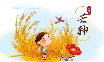 2009年芒种